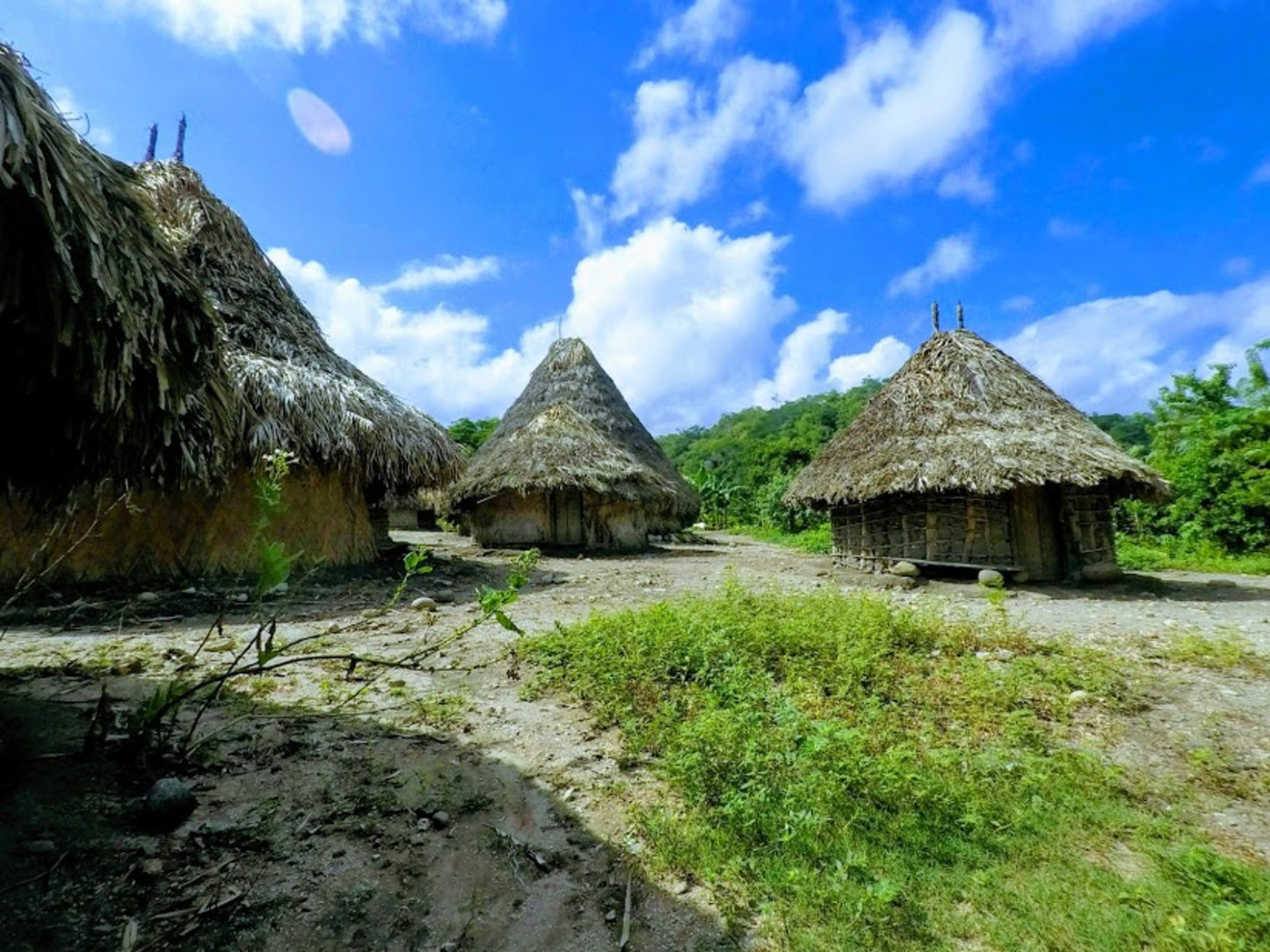 PALOMINO, KOGUI PEOPLE AND SEWIAKA