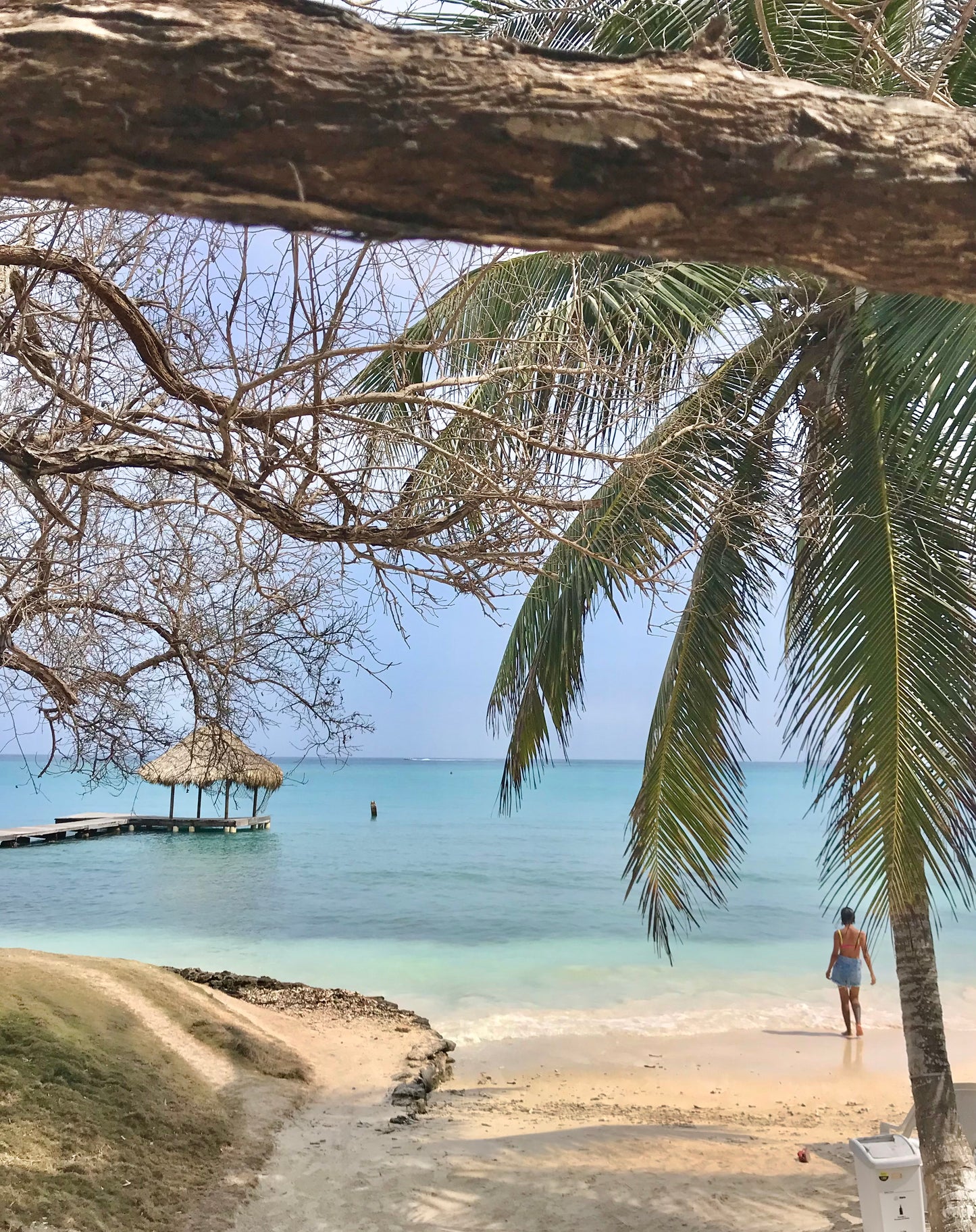 Pasadía Cocotera Beach Classic - Cartagena 13