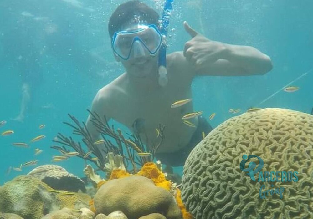 Tours 4 Destinos Básico + Acuario + Plancton