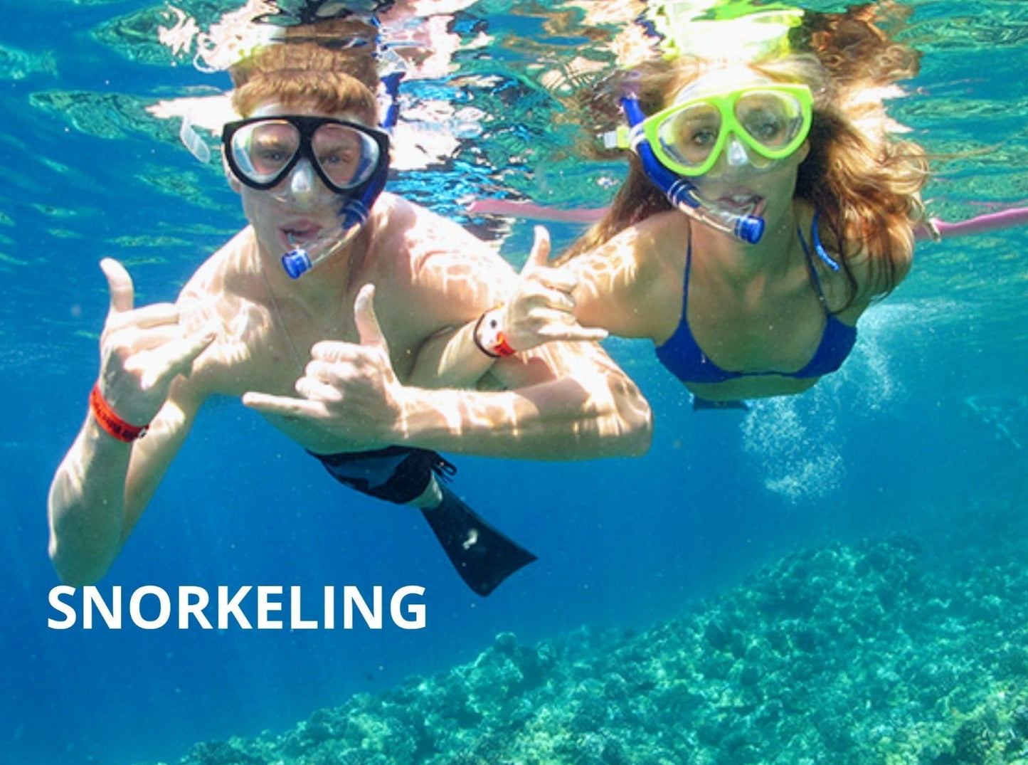 TOUR PLAYA TRANQUILA BARU + SNORKELING + PLANCTON