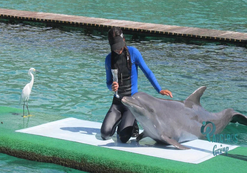 Tour 4 Islas Básico Incluido el Ingreso Al Acuario