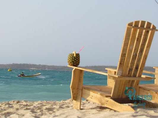 TOUR PLAYA TRANQUILA BARU + SNORKELING + PLANCTON