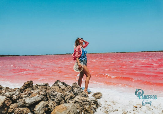 TOUR TO THE PINK SEA and TOTUMO VOLCANO